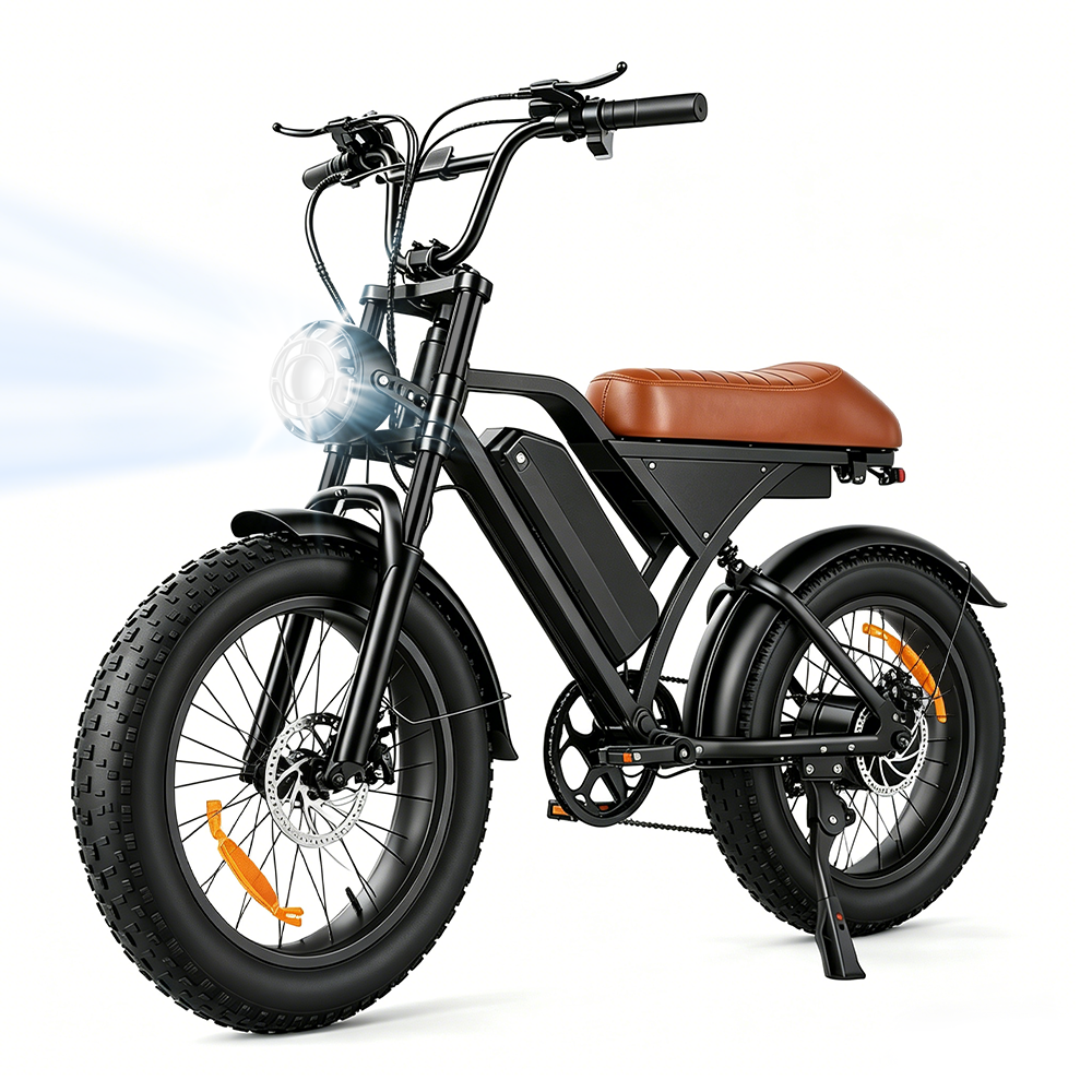 EB5Max 20 Zoll Fat Tire Retro E-Bike