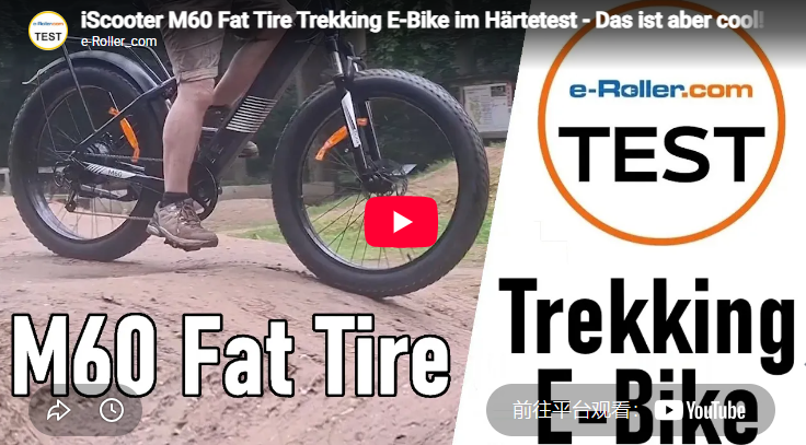 iScooter M60 Fat Tire Trekking E-Bike im Härtetest - Das ist aber cool!