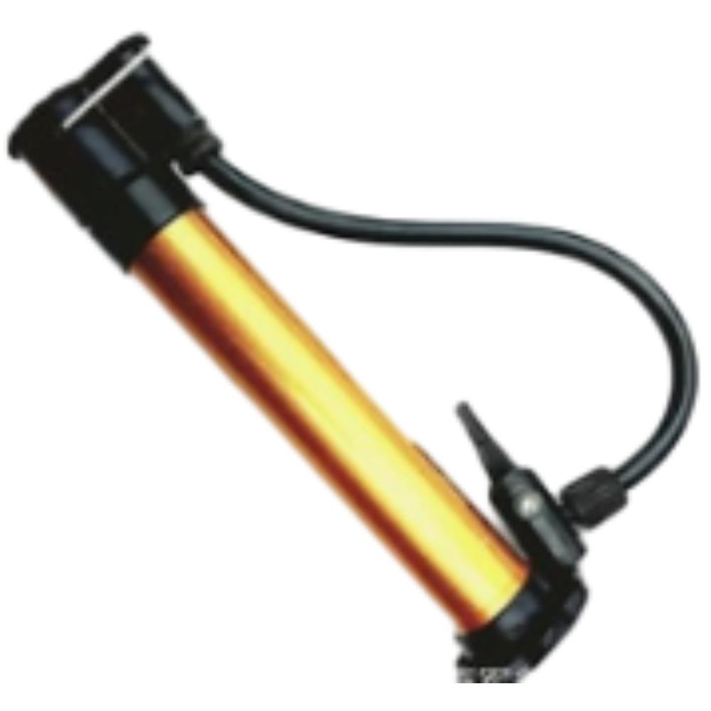 Luftpumpe für iScooter U3 Elektrofahrrad