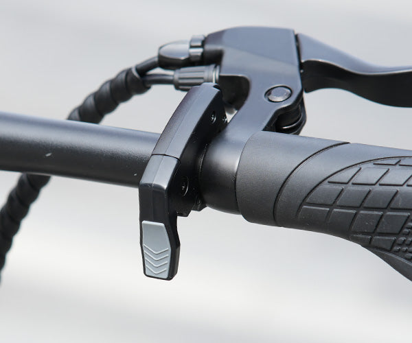 Adjustable suspension fork for electric bike