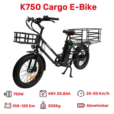 U1 City E-bike 350W für Erwachsene