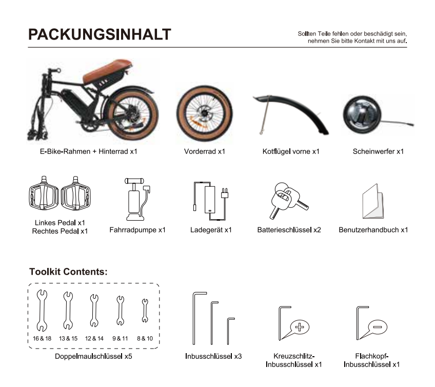 e-bike mit herausnehmbarem Akku
