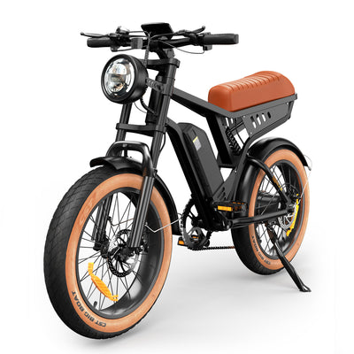 M10 E-Mountainbike