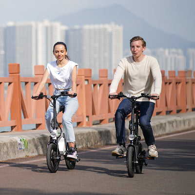 U1 City E-bike 350W für Erwachsene