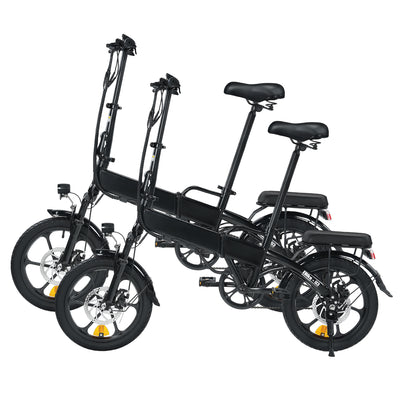 cargo e bike