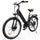 UcityS Pendler Tiefeinsteiger E-Bike