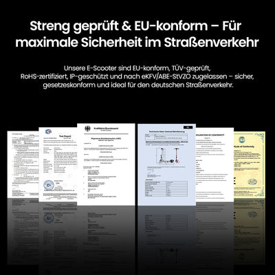 iScooter E-Scooter Mit Straßenzulassung Mit Doppelfederung (ABE,eKFV)