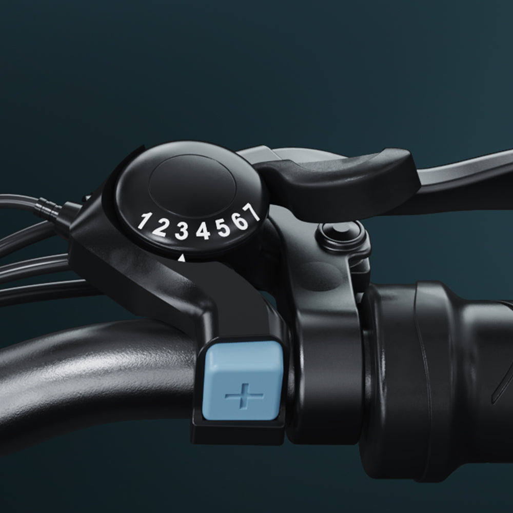 e-bike 25 km/h