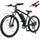M10 E-Mountainbike