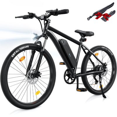 M10 E-Mountainbike
