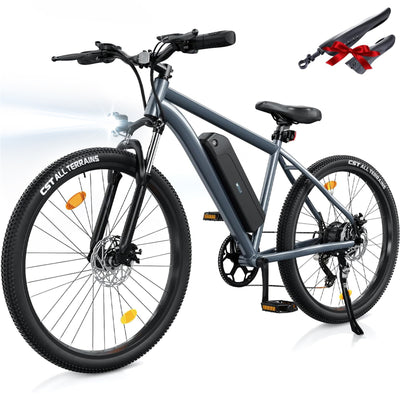 M10 E-Mountainbike