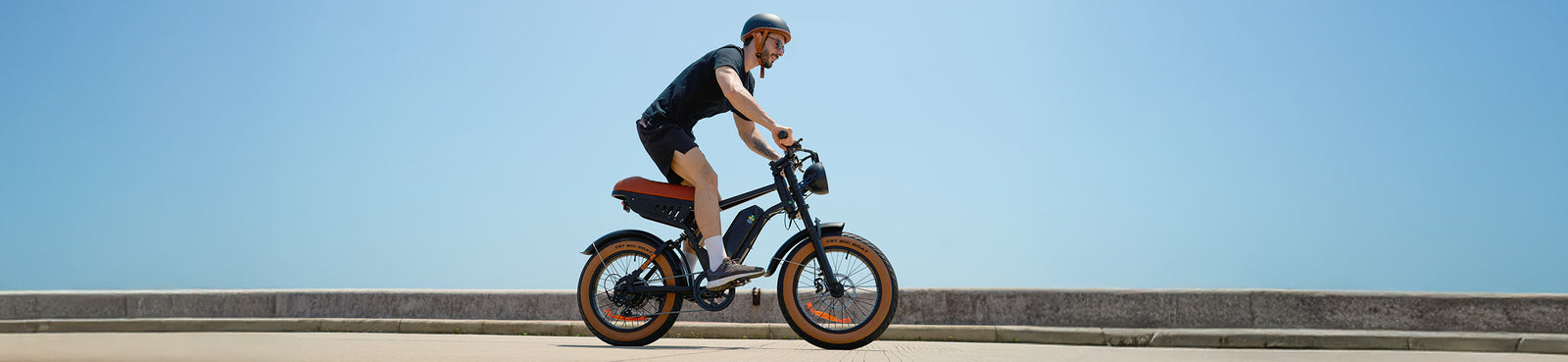 Shimano 7 Gang  e-bike