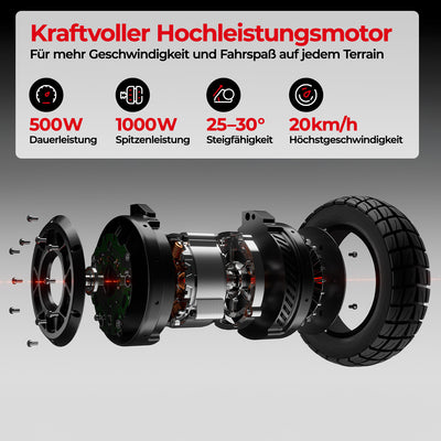 iScooter 1000W T4 Offroad E-Scooter Mit Straßenzulassung (ABE/eKFV)