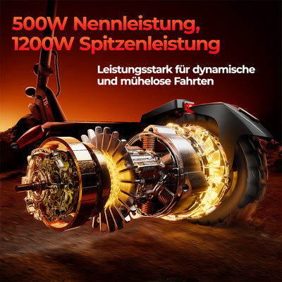 iScooter 1200W T8 Offroad E-Scooter Mit Straßenzulassung (ABE/eKFV)