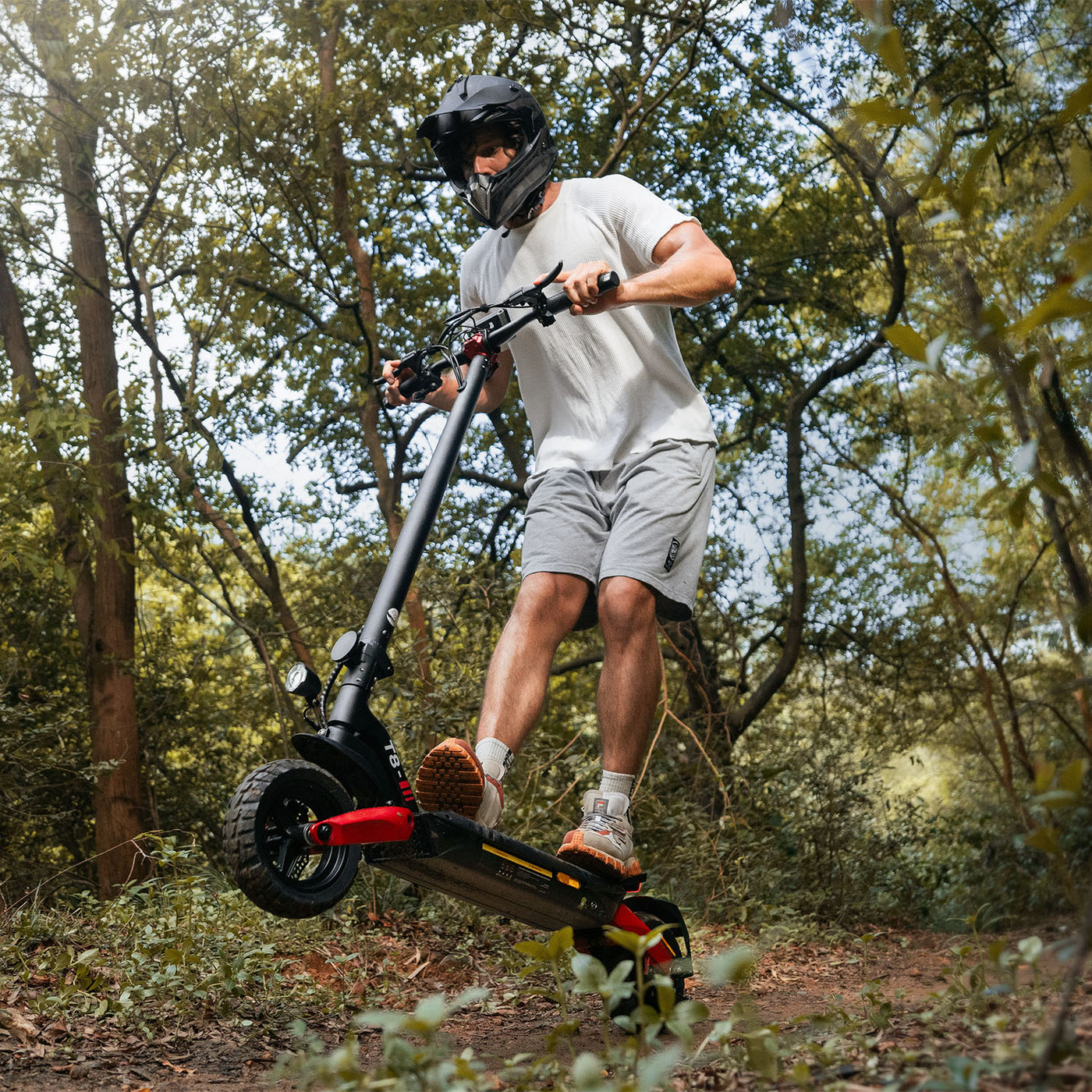 iScooter 1200W T8 Offroad E-Scooter Mit Straßenzulassung (ABE/eKFV)