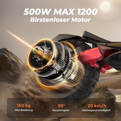 iScooter 1200W T8 Offroad E-Scooter Mit Straßenzulassung (ABE/eKFV)
