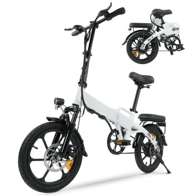 leichtes e bike